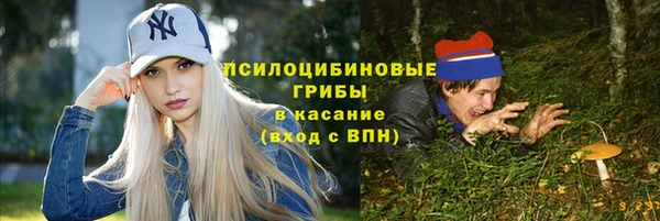 герыч Алексин