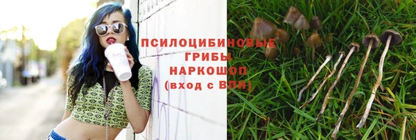 соль ск Алексеевка